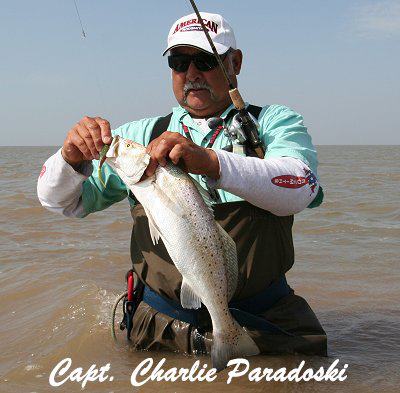 bay guide service