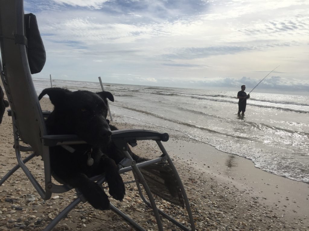 Matagorda Beach Fishing